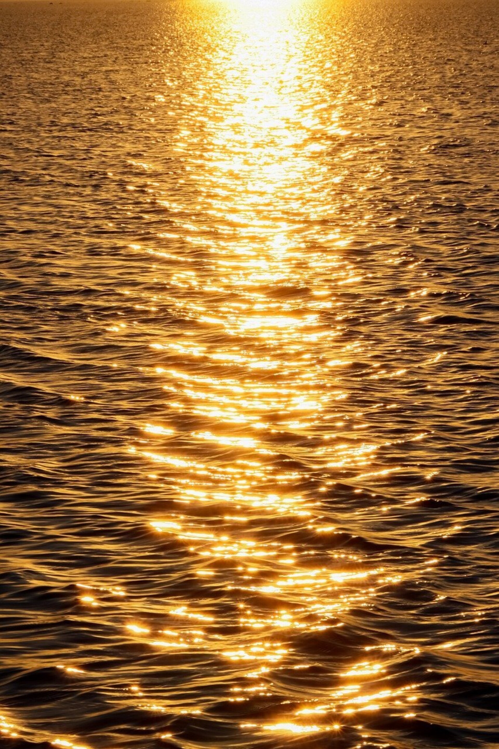 Sunset 8424565 1280