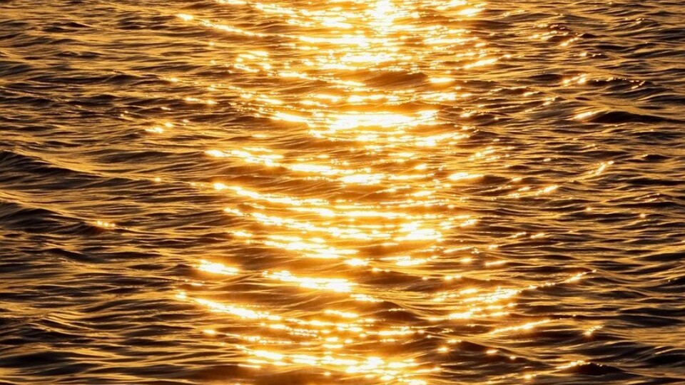 Sunset 8424565 1280